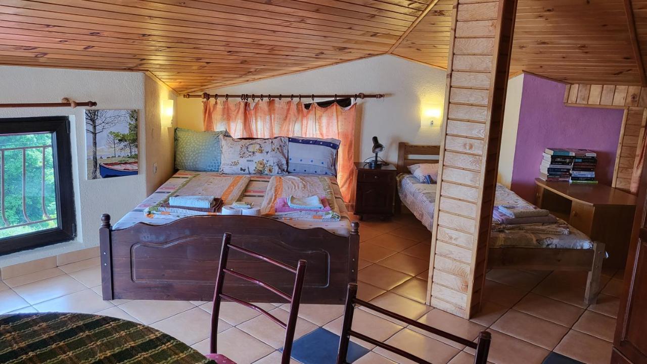 Guest House Fanny Sinemoretz Bagian luar foto