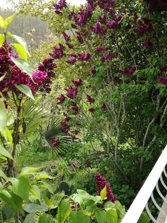 Guest House Fanny Sinemoretz Bagian luar foto