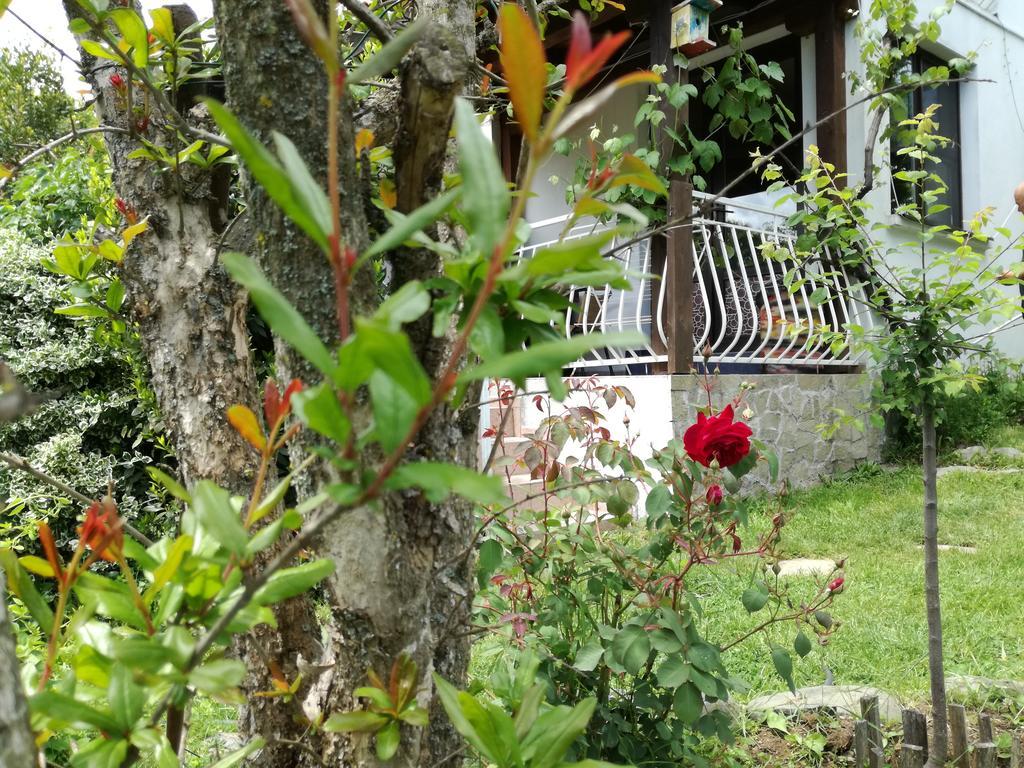 Guest House Fanny Sinemoretz Bagian luar foto